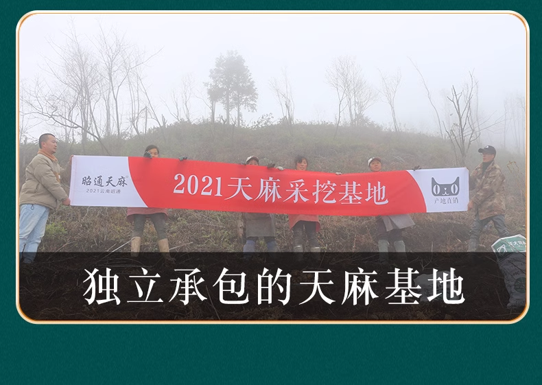 AK天麻马来1.png
